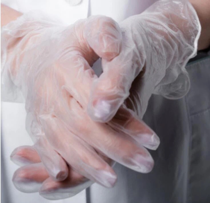 Medical Disposable Prowder Free Vinyl Gloves